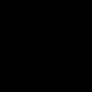 Meet your Posher, Ali